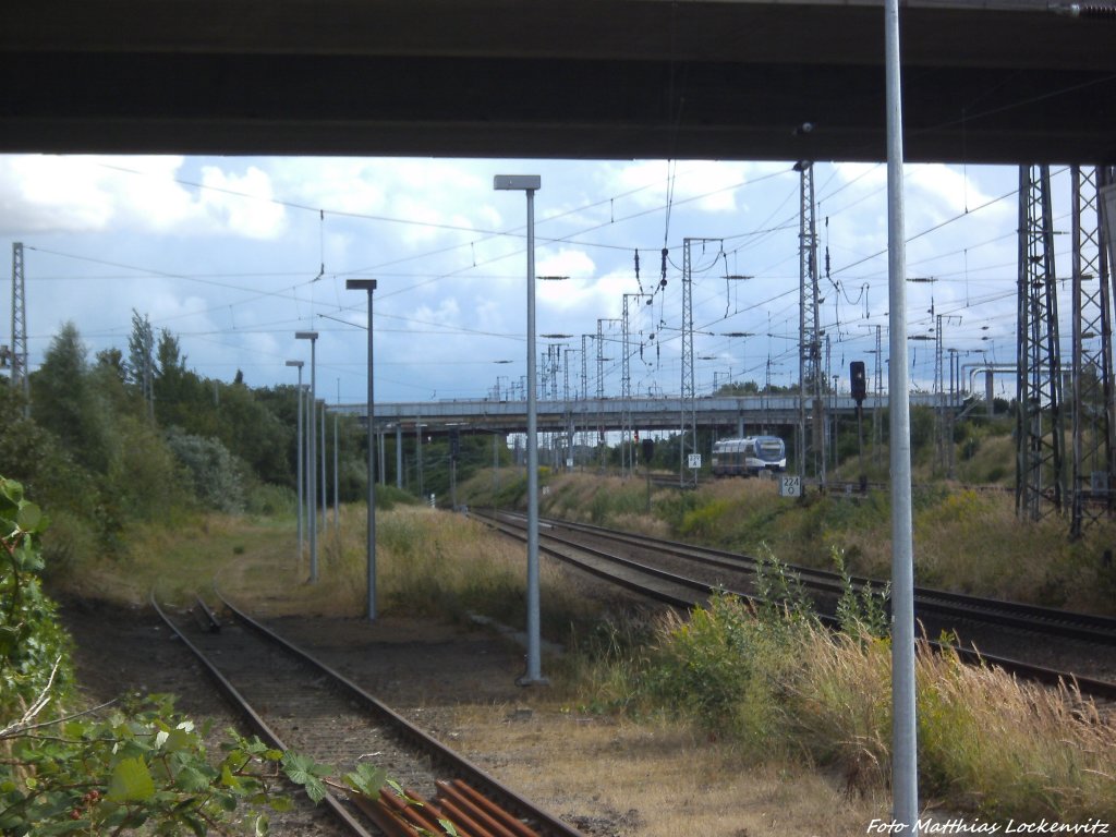 OLA VT 0006 in weiter ferne unterwegs nach Neustrelitz Hbf am 13.8.13