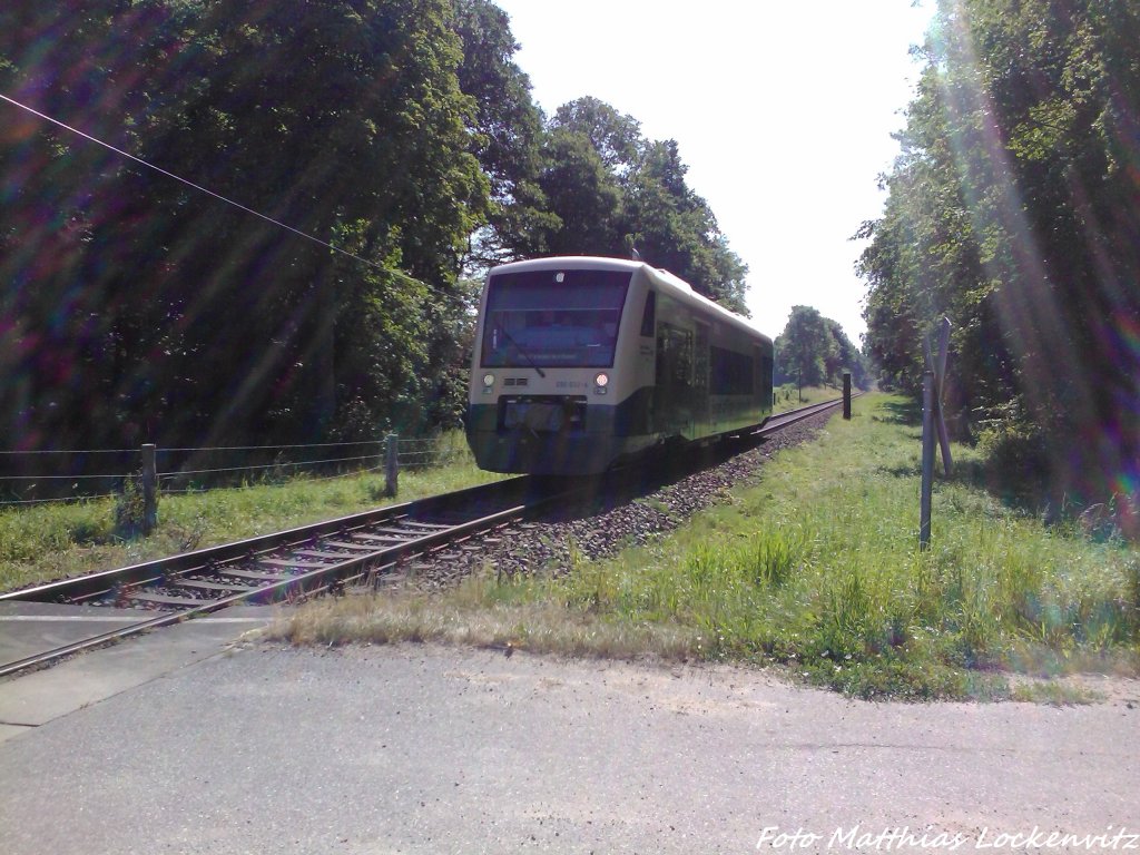 PRESS 650 032-4 unterwegs nach Bergen auf Rgen bei Neklade am 22.7.3