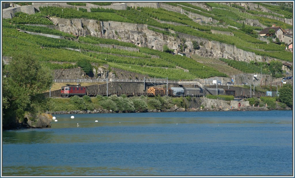 Re 4/4 II mit einem Gterzug bei Rivaz am 7. Juli 2010.
