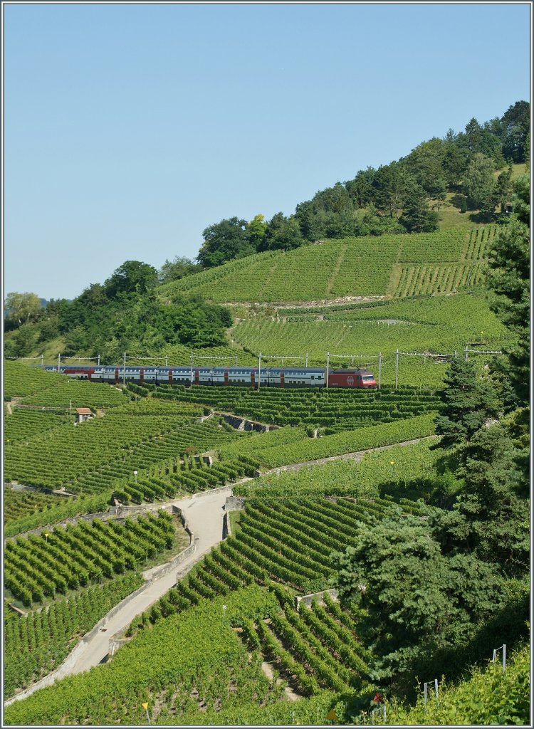 Re 460 038-3 mit IC nach Genve Aroport bei Grandvaux am 18. JUli 2012 