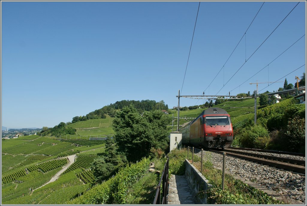 Re 460 038-3 mit IC nach Genve Aroport; die Zugsspite ist schon fast am linen Bildrand.
Bei Grandvaux, den 18. Juli 2012