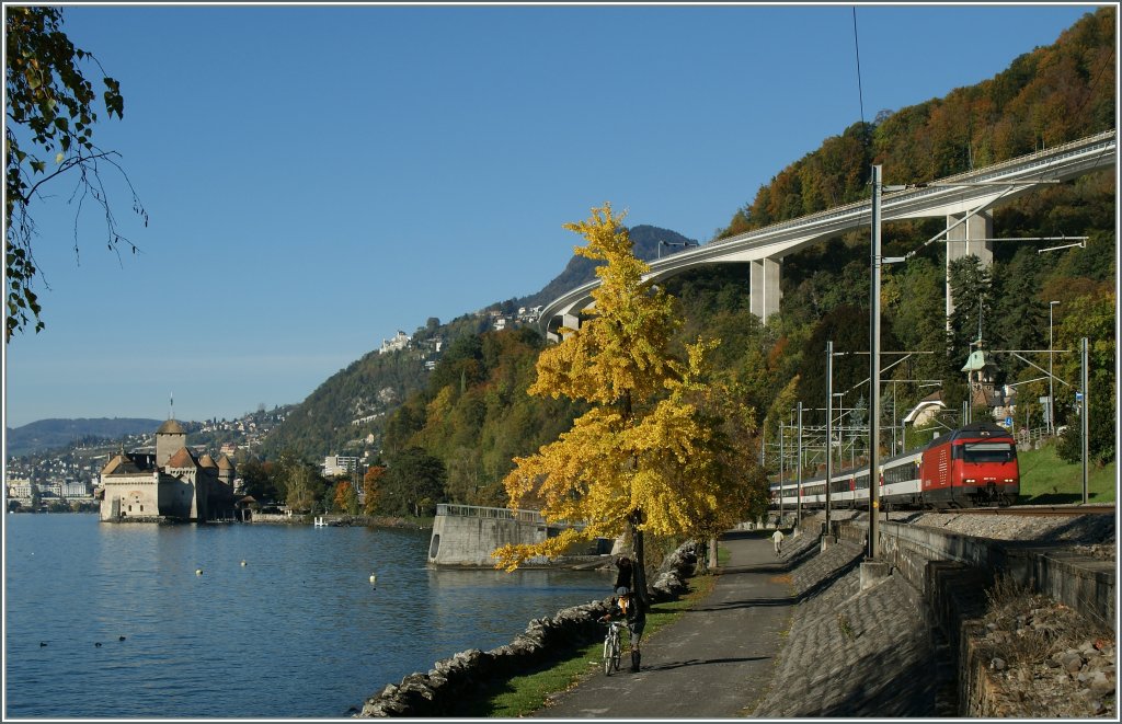 RE 460 117-7 mit dem IR 1729 kurz vor Villeneuve.
30. Okt 2012