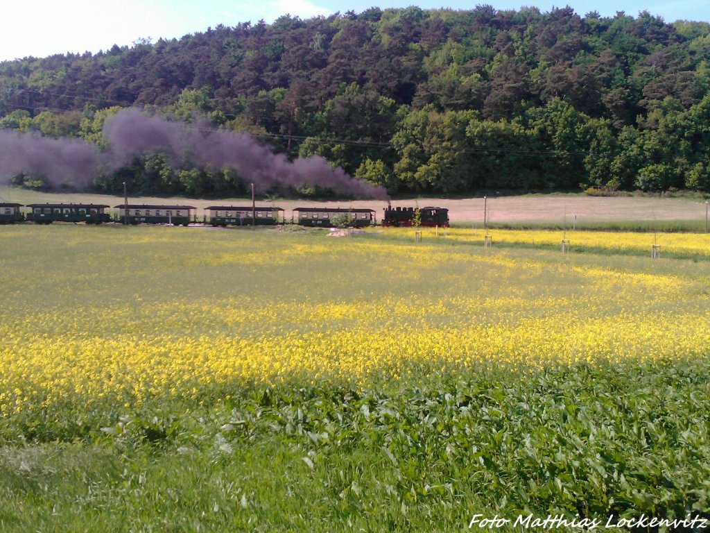 RBB 99 1784 beim Verlassen des Haltepunkts Seelvitz am 30.5.13