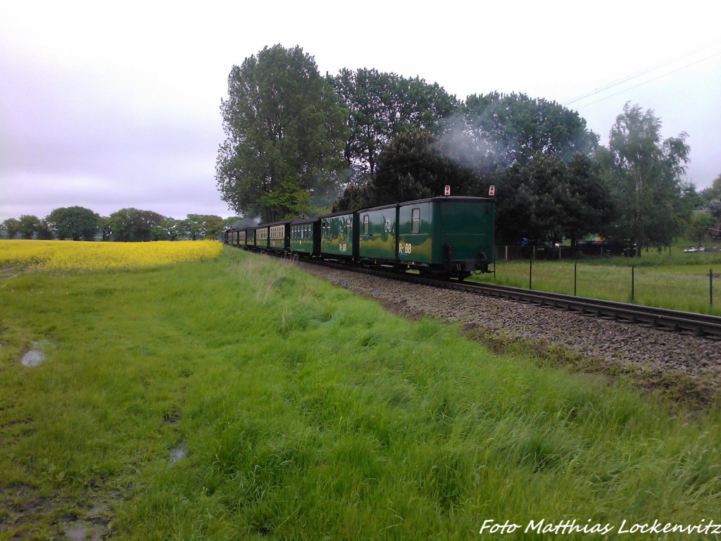 RBB 99 1784 unterwegs nach Ostseebad Ghren / Hier das schlusslicht des Zuges bei Beuchow am 26.5.13