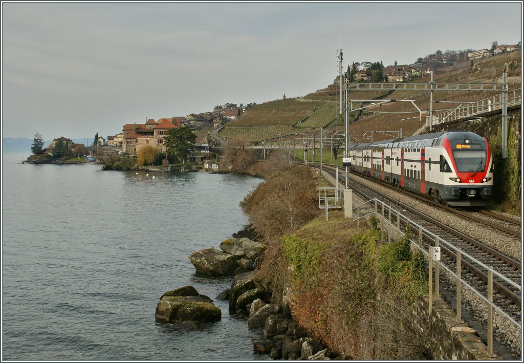 SBB RABe 511 bei Rivaz. 23. Dez. 2012