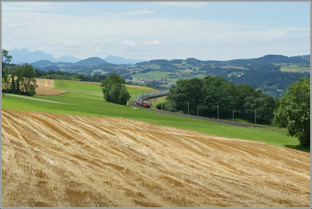 SBB Re 460 mit einem IC nach St. Gallen kurz vor Vauderens.
12. Juli 2012