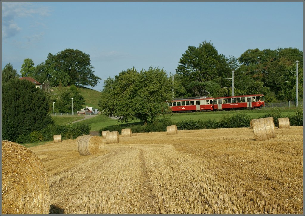 Sommer bei der CEV...
19.07.2012