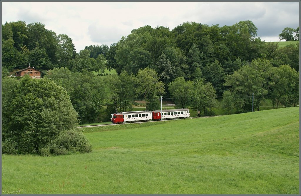 TPF Regionalzug Richtung Montbovon kurz vor Chtel St-Denis.
12. Juli 2012