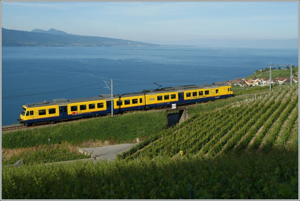  Train des Vignes  kurz vor Chexbres.
29.05.2011