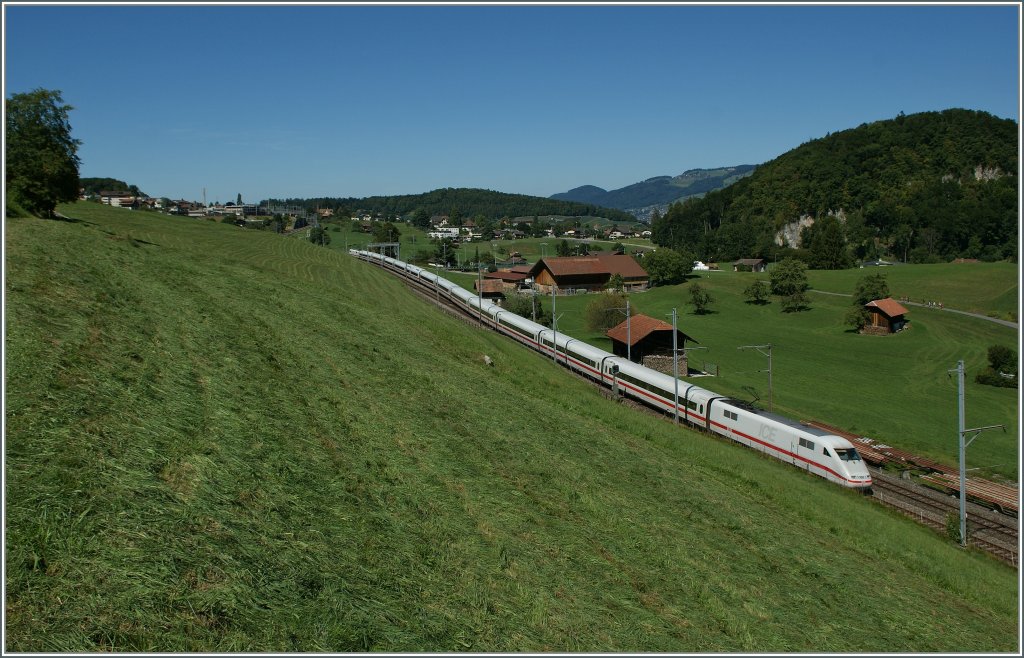 und kurz vor Faulensee, bald am Ziel seiner Reise. 
27. August 2012