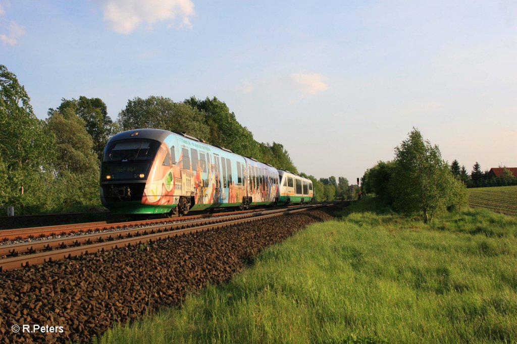 VT06 + VT25 als VBG81128 Schwandorf - Hof bei Schnfeld. 24.05.11