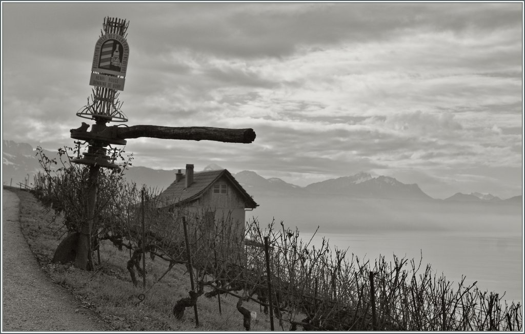 Weinland Lavaux. 
4.1.13