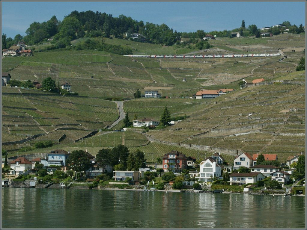 Weit oben in den Weinbergen des Lavaux zieht die Die SBB  Rote Kreuz  Werbelok 460 041-7 ihren IR Richtung Luzern.
6. Juni 2013