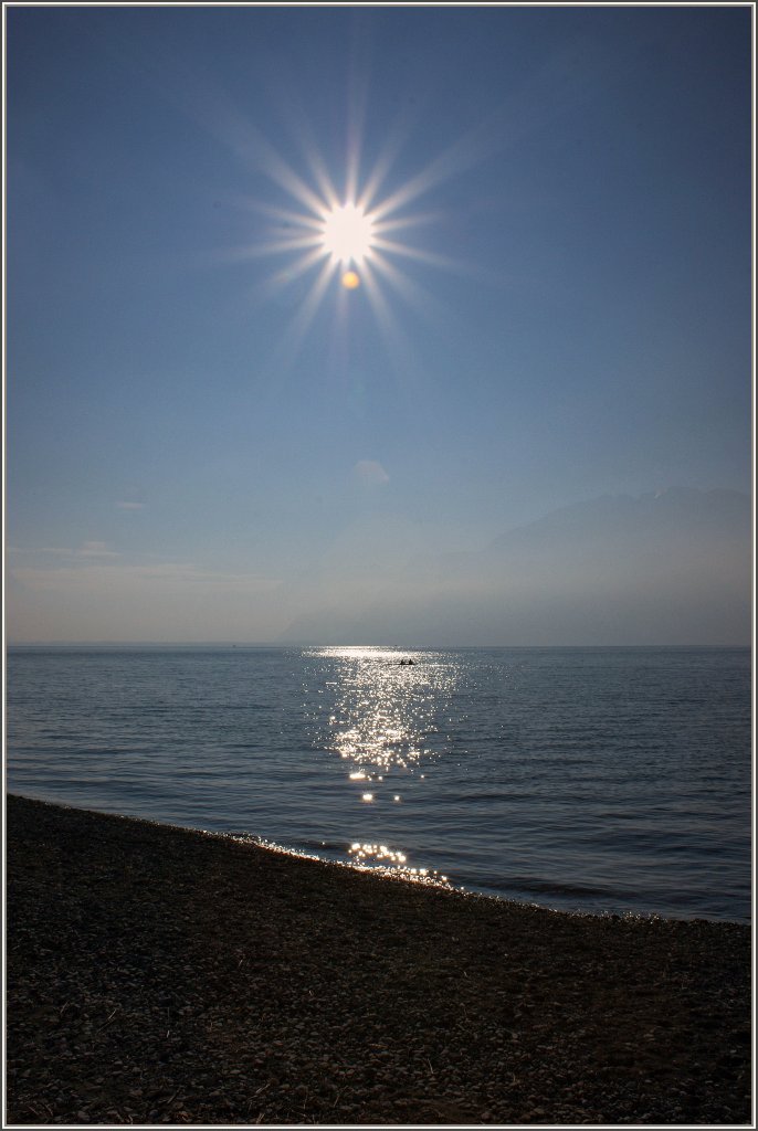 Wintersonne am Genfersee
(24.01.2011)
