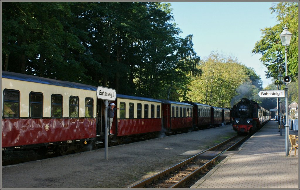 Zwei Mollizge kreuzen sich in Heiligendamm am 20.09.2012