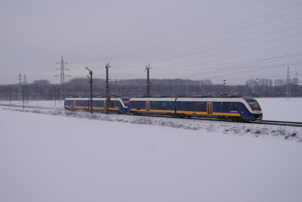 Zwei Nordwestbahn Lints als RE 10 nach Dsseldorf in Neuss-Weienberg am 18.12.2010
