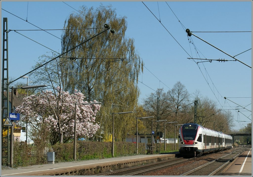 Zwei SBB Seehas Flirts auf dem Weg von Konstanz nach Engen erreichen Allensbach.
7. April 2011