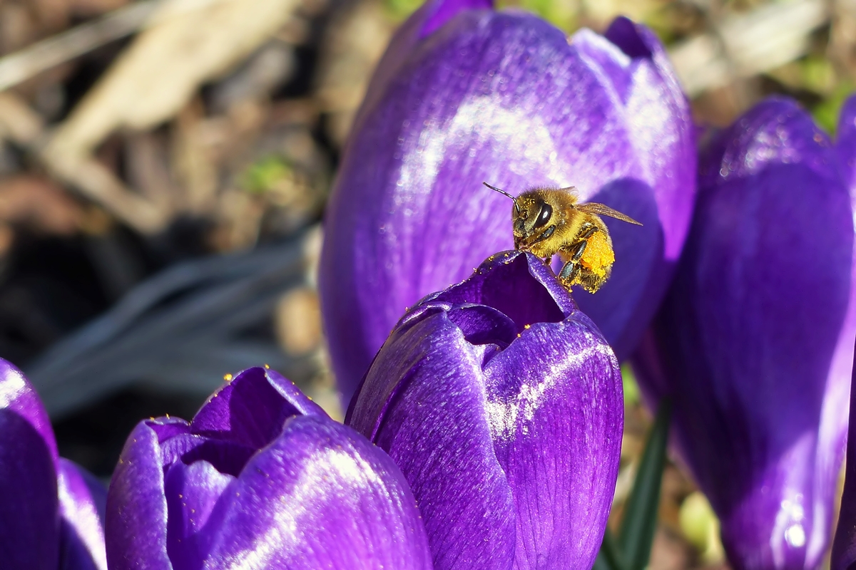 . Der erste Ausflug scheint sich gelohnt zu haben. 12.03.2015 (Jeanny)