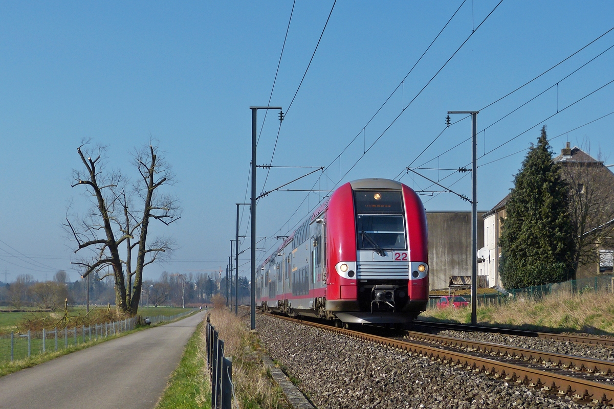 . Der Schock sitzt tief, als wir heute den schnen alten Baum an der Bahnstrecke zwischen Lintgen und Mersch sahen. Er wurde fast aller seiner ste beraubt, die nun als einen Haufen Abfall daneben liegen. Wir gut, haben sie wenigstens die Oma Bank nicht auch noch verstmmelt. 

Die Computermaus Z 2222 fhrt als RB 3239 Wiltz - Luxembourg in der Nhe von Rollingen an dem einstigen Prachtstck von einem Baum vorbei. 11.03.2014 (Jeanny)