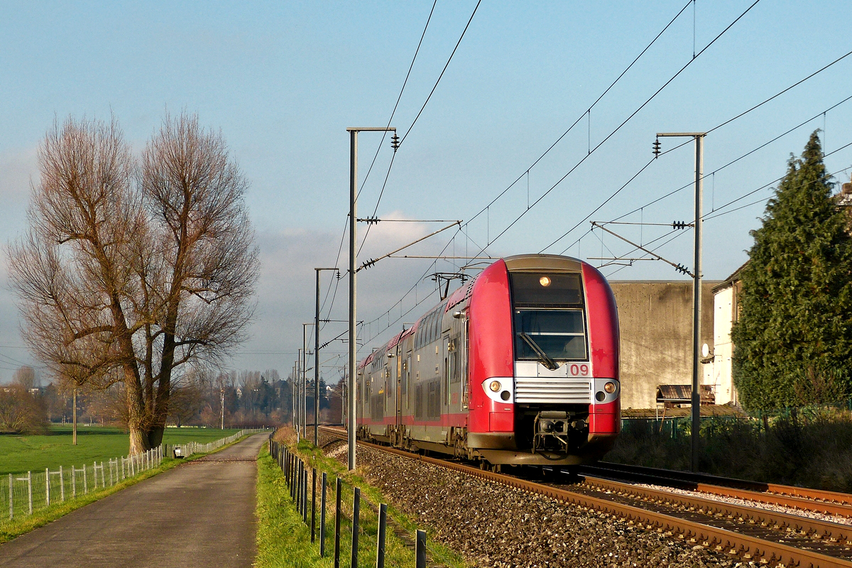 . Der schne alte Baum am Wanderweg zwischen Lintgen und Mersch hat sich toll von seinem Radikalschnitt erholt und konnte zusammen mit der Computermaus Z 2209 am 14.12.2015 in der Nhe von Rollingen abgelichtet werden. (Hans)