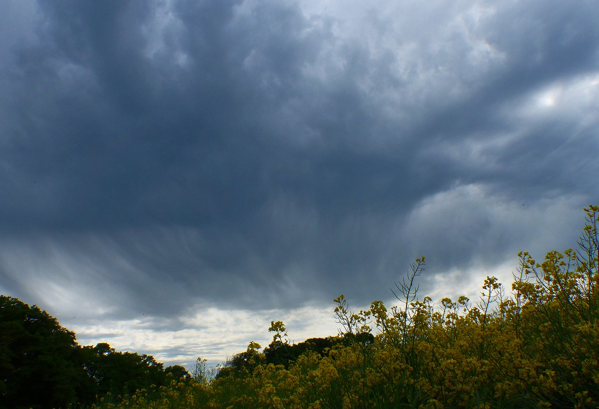 . Dramatischer Himmel in der Nhe von Bausendorf. 13.05.2015 (Jeanny)