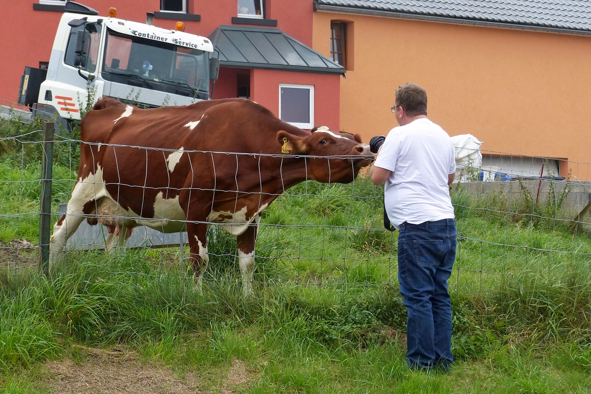 . Endlich gibt es wieder Arbeit fr die Linsenputzer in Erpeldange. 13.09.2014 (Jeanny)