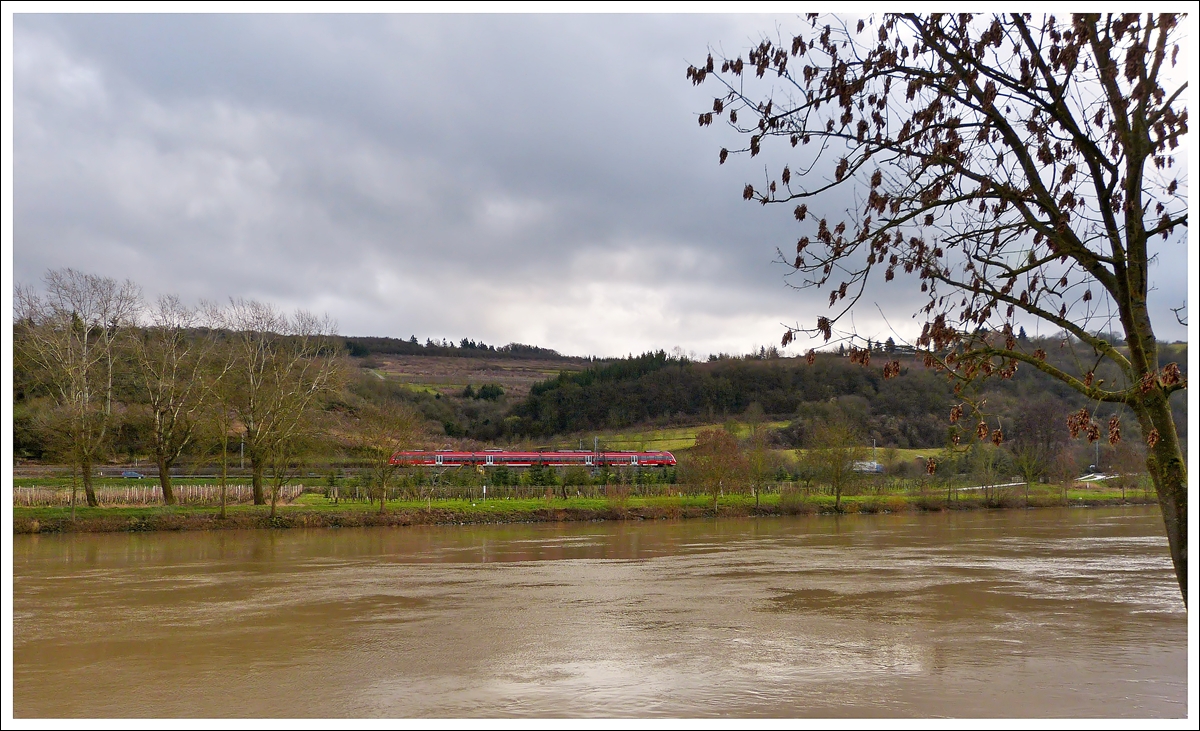 . Hochwasser an der Mosel - Die Mosel fhrte leichtes Hochwasser am 08.01.2014, als der vierteilige Hamster auf die Obermoselstrecke zwischen Oberbillig und Temmels unterwegs war. (Jeanny)  