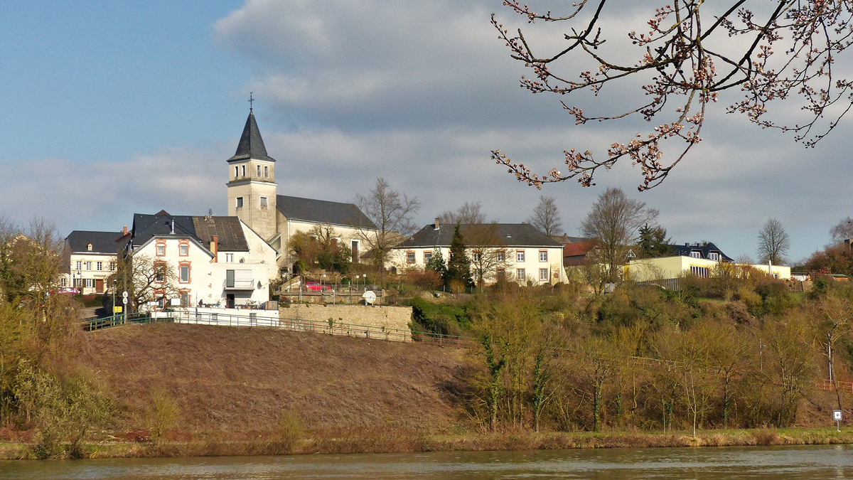 . Vorfrhling an der Mosel - Blick von Stadtbredimus nach Palzem. 13.03.2016 (Jeanny)