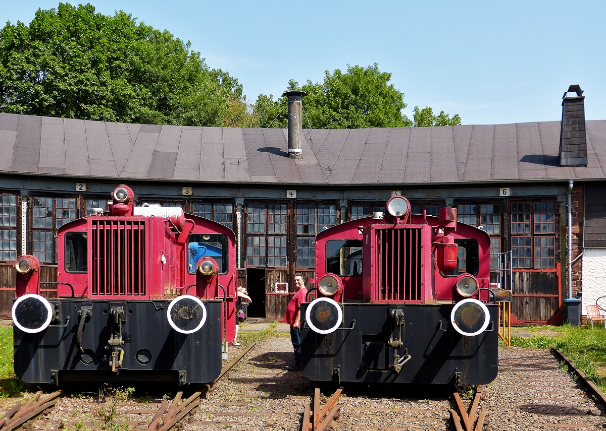 . Welche von den beiden wrde wohl am besten in meinen Garten passen? Dampflokmuseum Hermeskeil, 09.06.2014 (Jeanny)