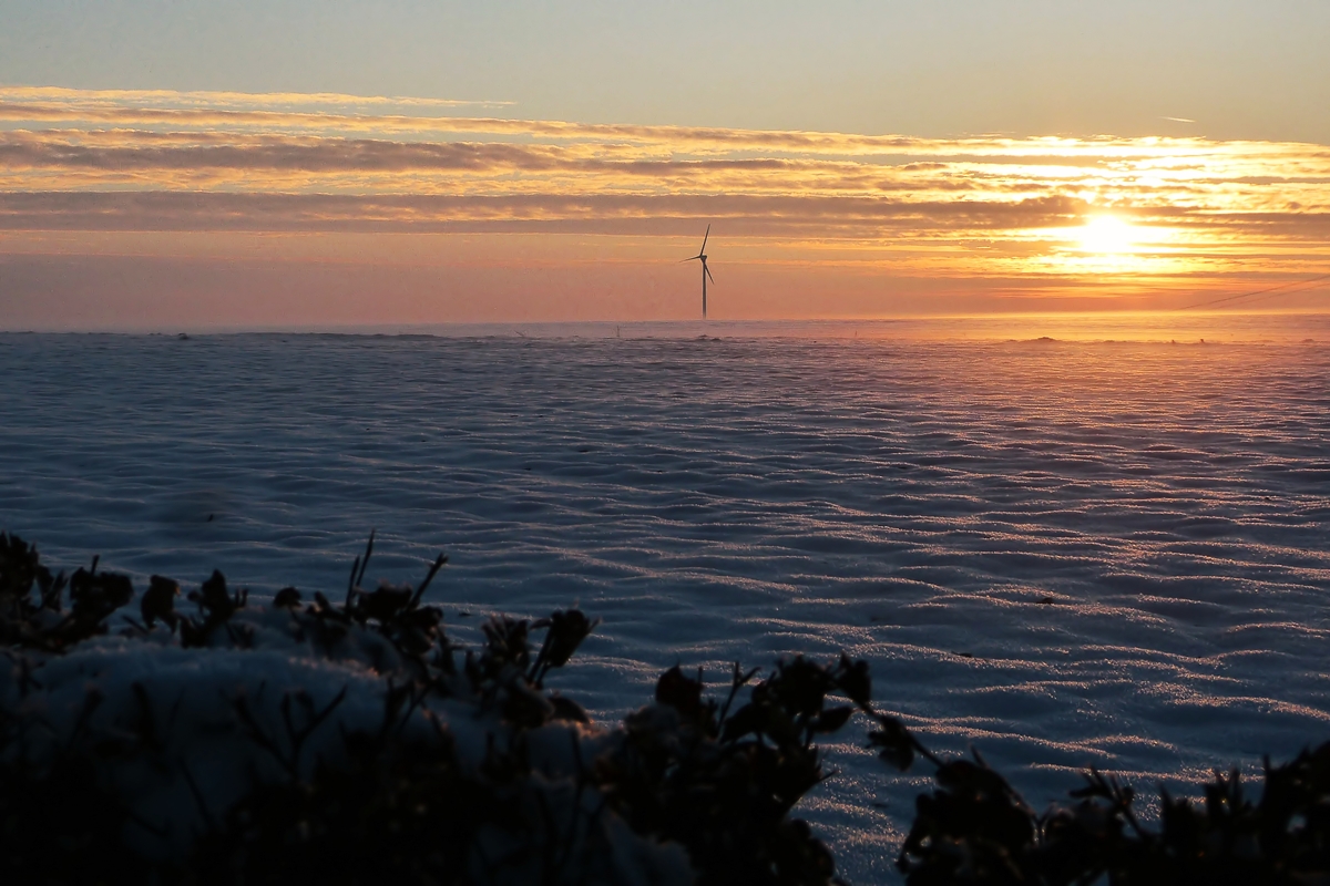 . Winterlicher Sonnenuntergang mit Windrad. 19.01.2016 (Hans)