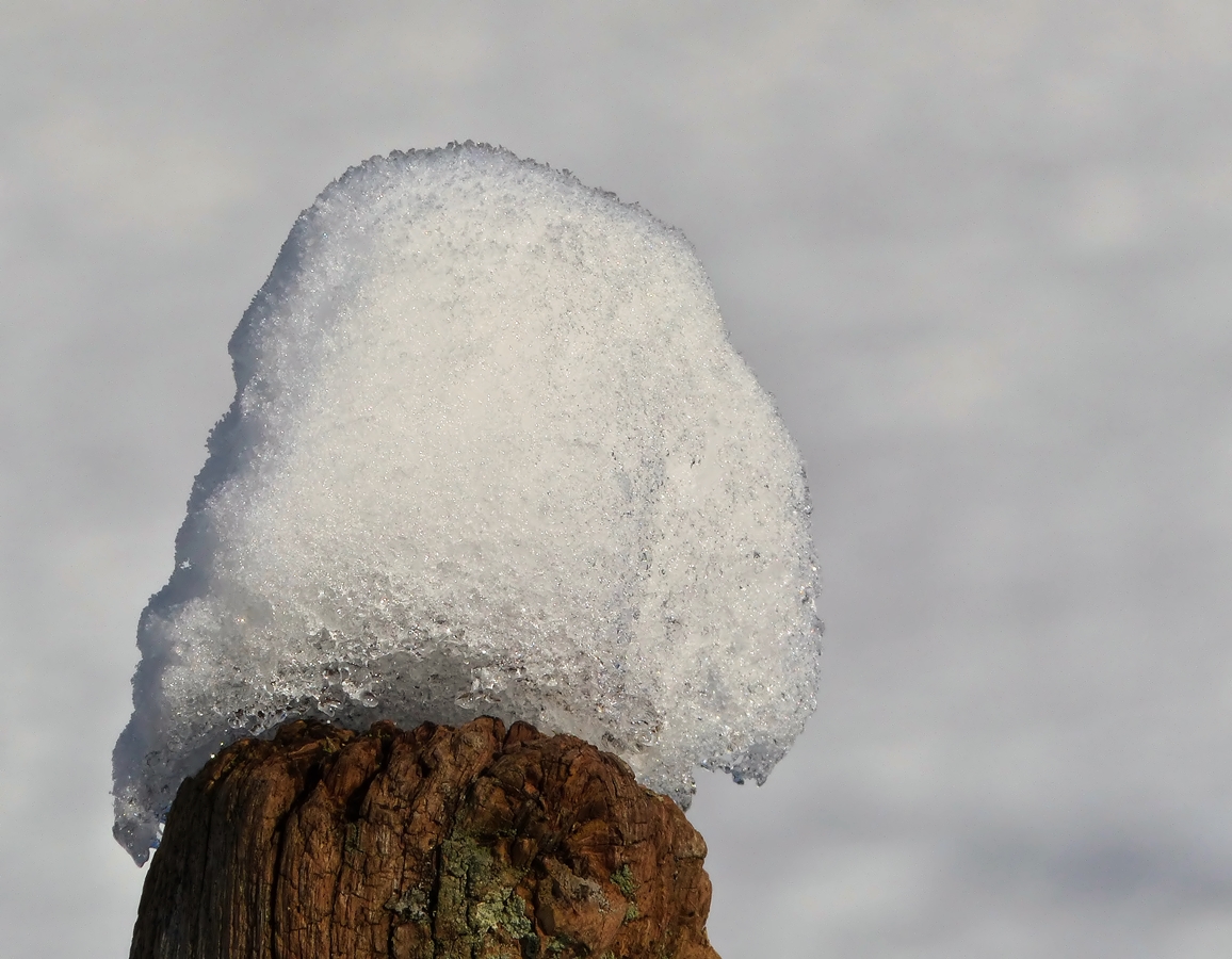 . Zum Glck hat er einige bersehen. ;-) 04.02.2015 (Jeanny)