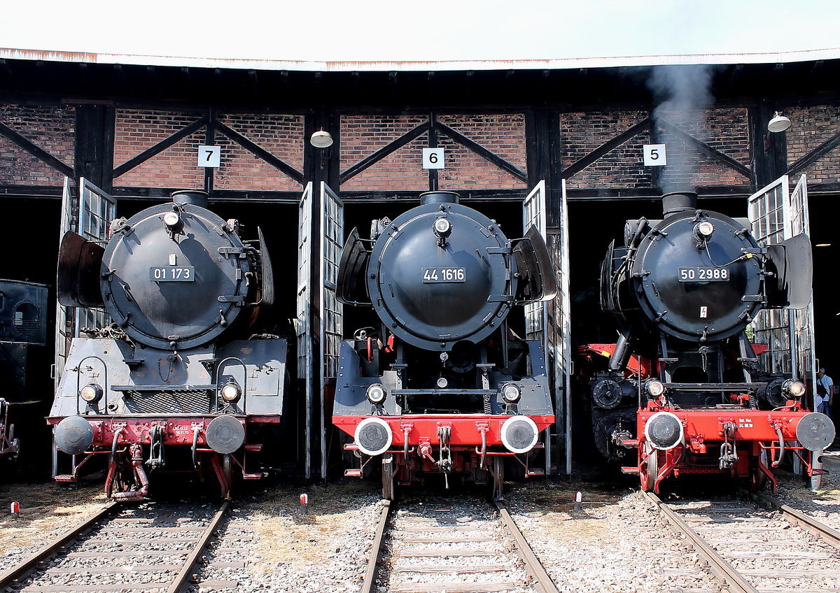 01 173, 44 1616, 50 2988 im Lokschuppen des SEH in Heilbronn am 21.05.16