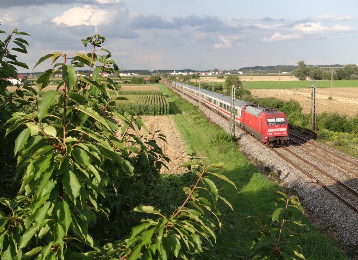 101 145-1 mit einem IC am 04.08.14 in Neu-Ulm. 