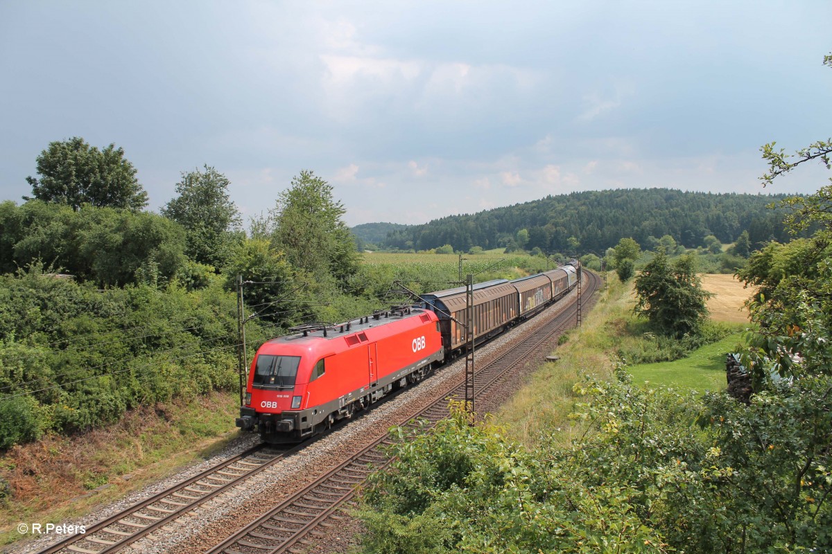 1016 006 mit einem Gemischten Güterzug bei Dettenhofen. 25.07.14