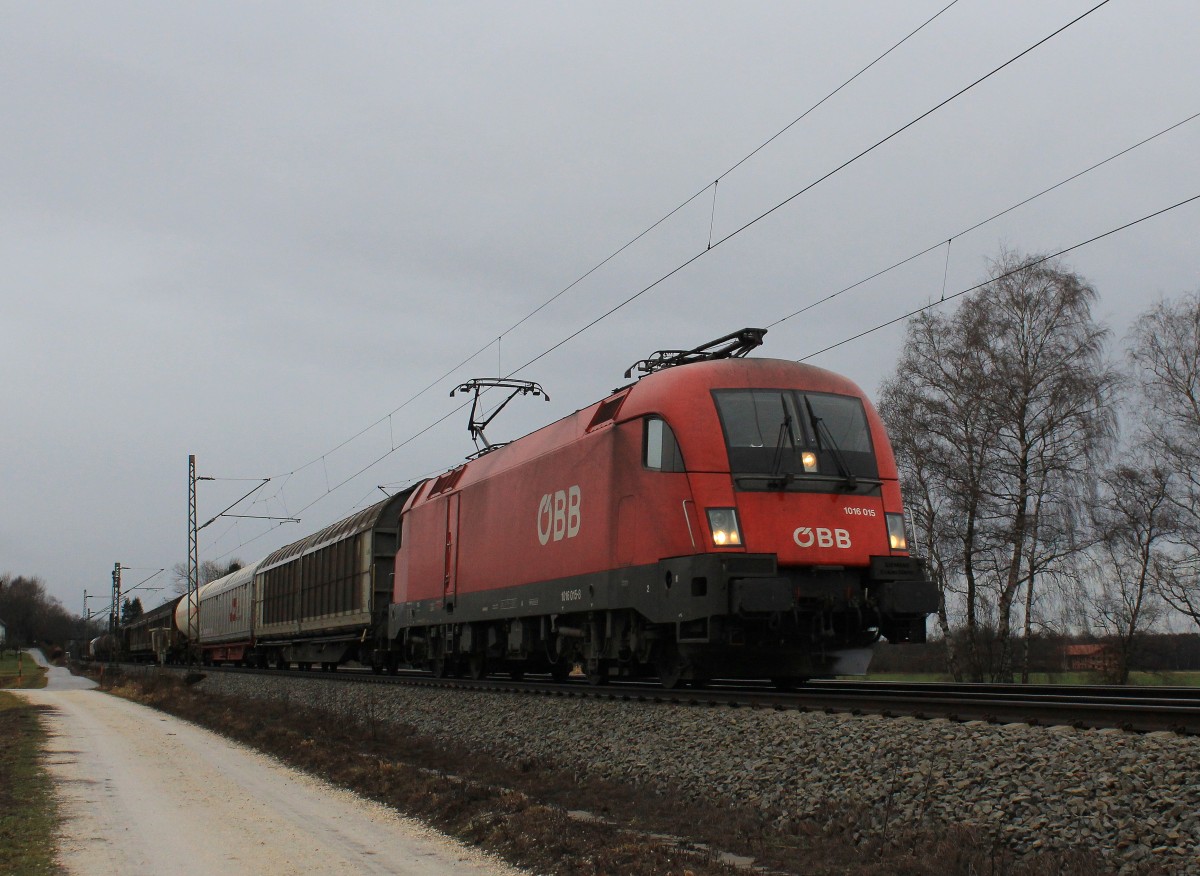 1016 015 am 4. Januar 2013 bei bersee am Chiemsee.