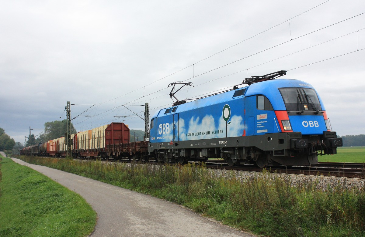 1016 023-2  BB Grne Schiene  war am 5. Oktober 2013 mit einem Gterzug von Mnchen/Nord nach Bischofshofen unterwegs. Aufgenommen an unserer  Standardfotostelle  kurz vor bersee.