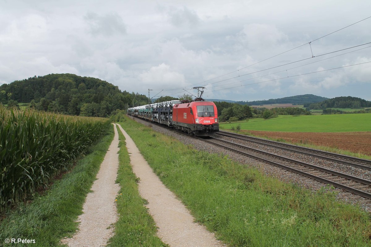 1116 040  Norbert  zieht bei Parsberg ein VW Autozug gen Süden. 19.08.17