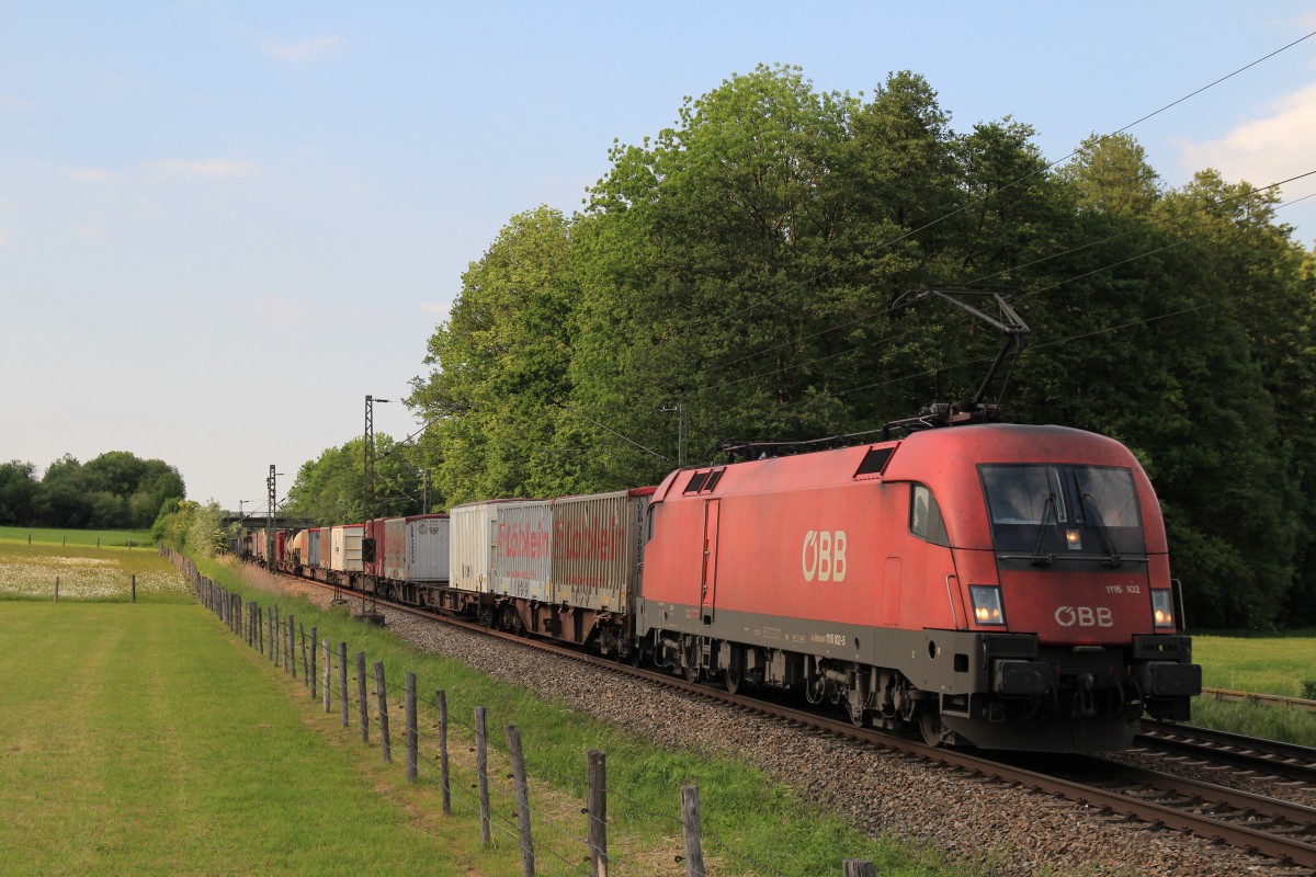 1116 102-5 mit einem Containerzug am 24. Mai 2014 bei Vogl.