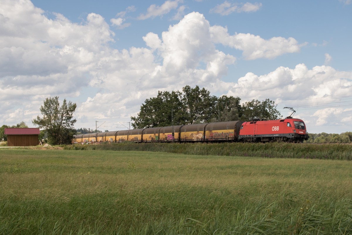 1116 104-1 am 27. Juli 2015 mit einem  Artmann-Autozug  bei Weisham.