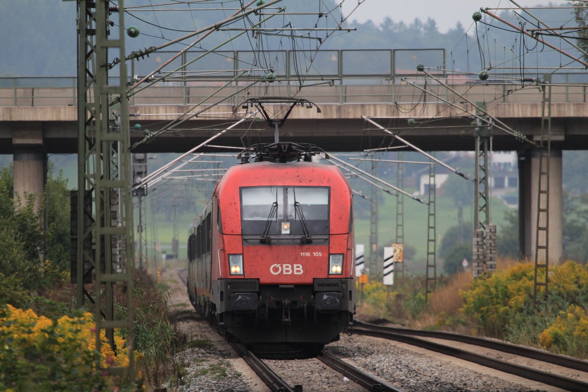 1116 105-8 auf dem Weg nach Salzburg am 27. August 2013 bei Bernau am Chiemsee.