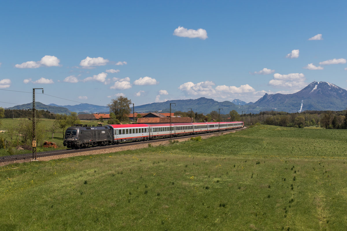 1116 182-7 der  Cobra-Stier  am 29. April 2016 aus Salzburg kommend bei Stra.