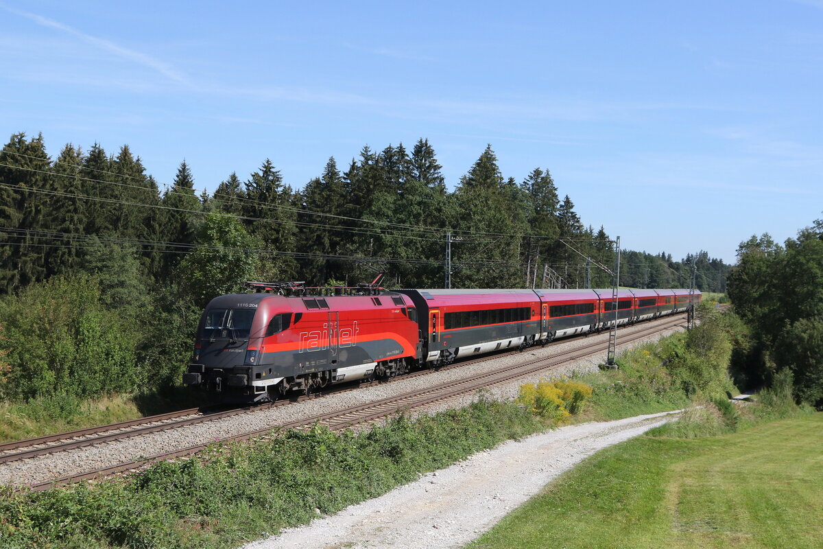 1116 204 am 2. September 2022 bei Grabensttt im Chiemgau.