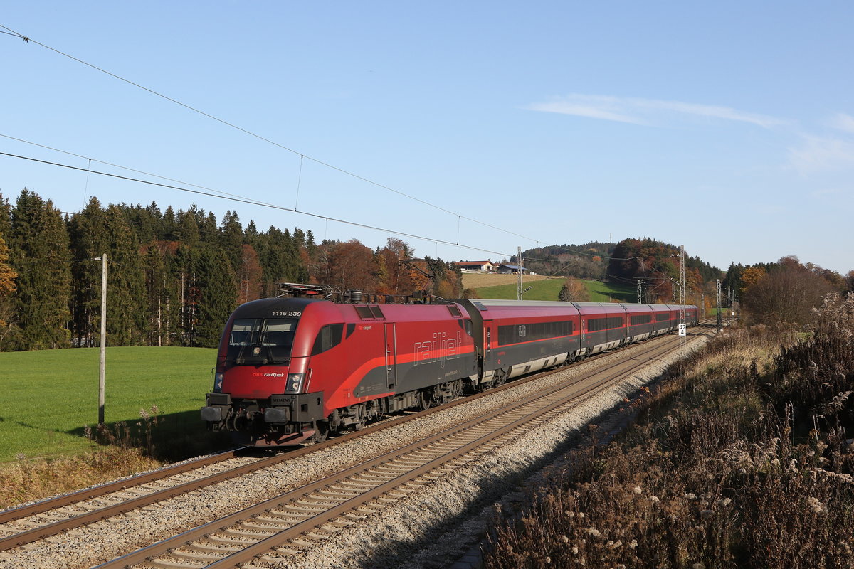 1116 239 am 9. November 2020 bei Grabensttt im Chiemgau.