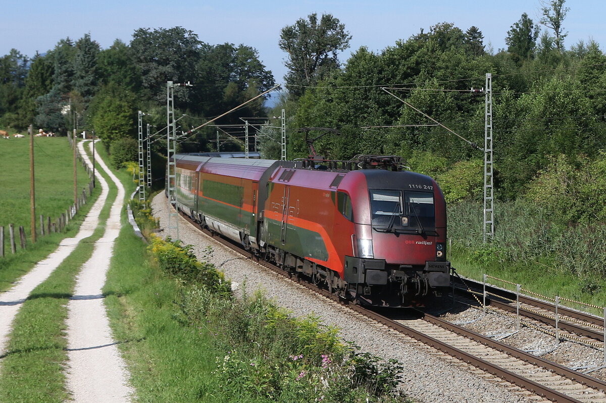 1116 247 auf dem Weg nach Salzburg am 17. August 2023 bei Sossau im Chiemgau.