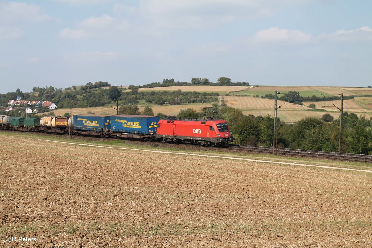 1116 276-7 zieht ein LKW-Walter Zug kurz vor Treuchtlingen bei Wettelsheim gen Süden. 24.09.16