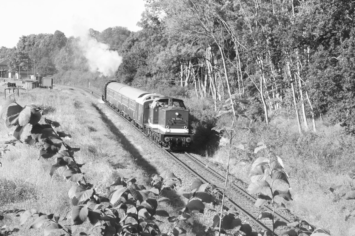 114 703 (203 230) und 86 1744 verlassen Putbus in Richtung Bergen auf Rgen am 30.7.21