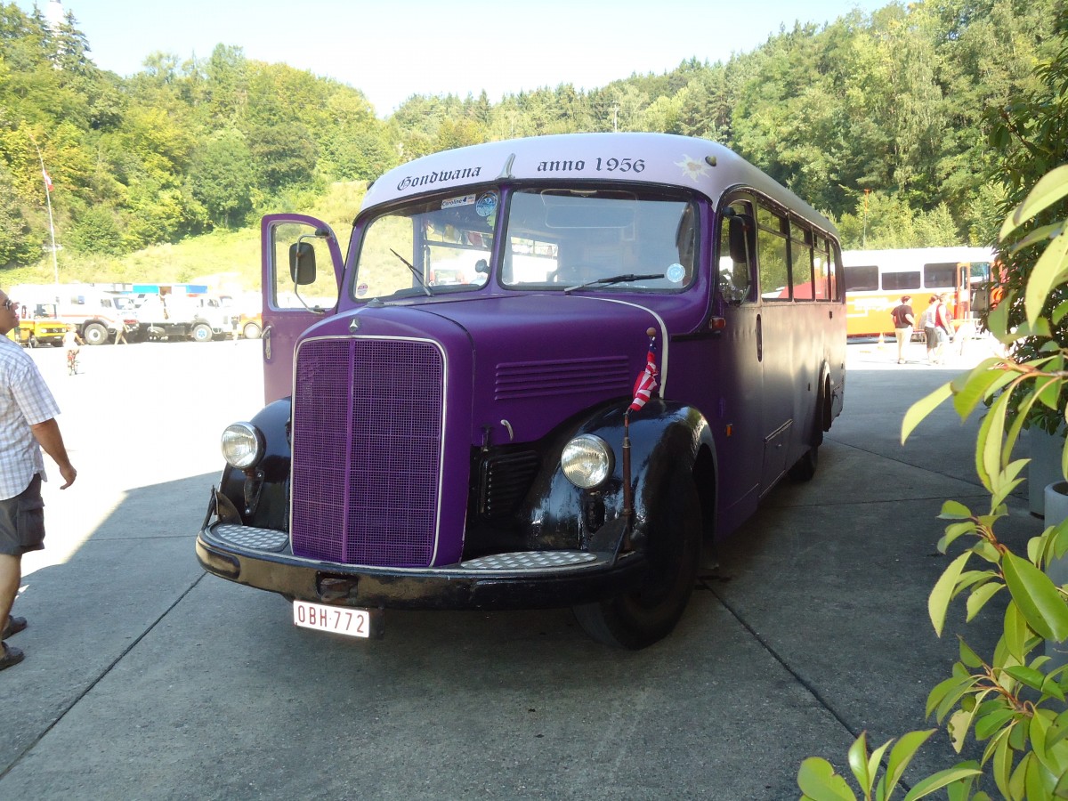 (128'966) - Aus Belgien: ??? - OBH-772 - Mercedes am 22. August 2010 in Thayngen, Wohnbustreffen