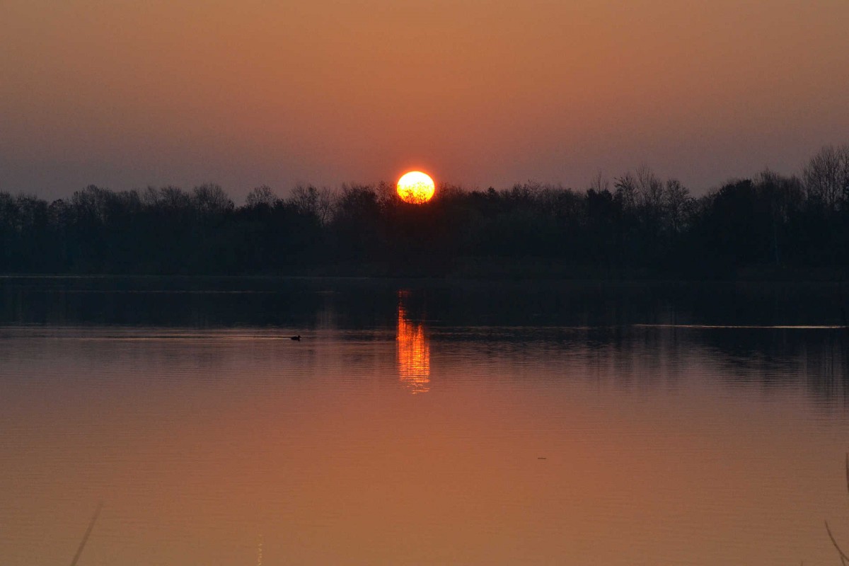 13.03.2014 Salzkotten Mantinghausen