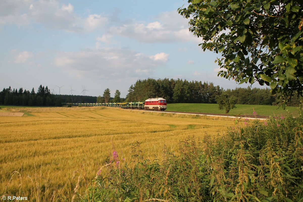 132 426 zieht ein ARS Altmann Leer Autotransportzug von Hof nach Chebbei Marktleuthen und 232 173 schiebt am Schluss. 22.07.21