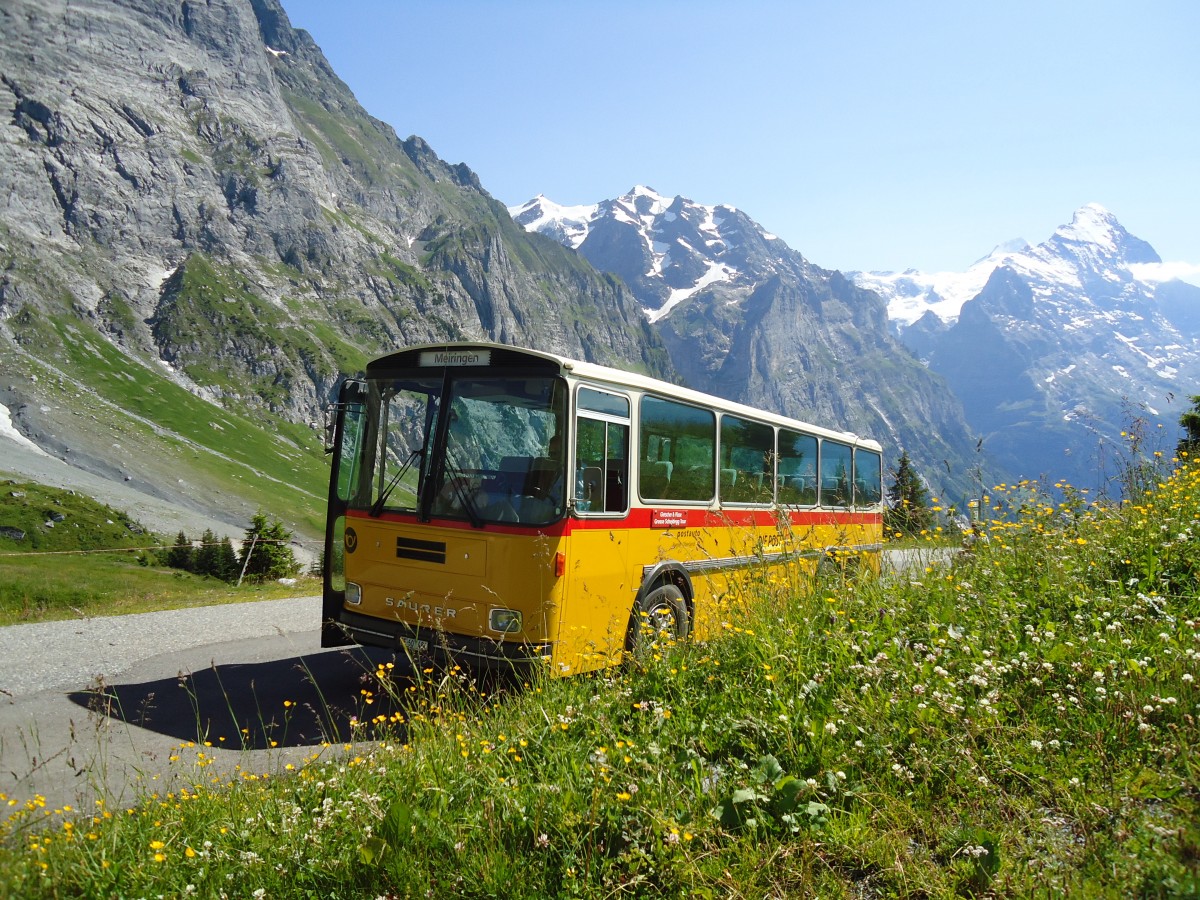 (134'776) - AVG Meiringen - Nr. 74/BE 607'481 - Saurer/R&J (ex P 24'357) am 3. Juli 2011 in Grindelwald, Oberer Lauchbhl